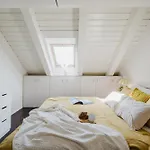 Prague Days - Attic Maisonette With Netflix And Workspace In New Town